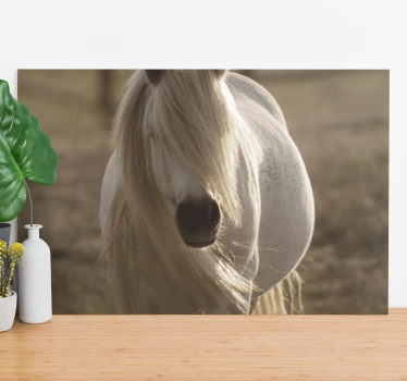 Andere dieren schilderij op canvas Wit gezicht paard - TenStickers