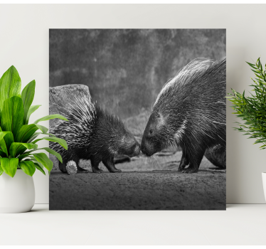 Canvas schilderij dieren diereninteractie met stekelvarken - TenStickers