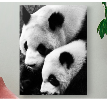 Canvas schilderij dieren panda paar omhelzing - TenStickers