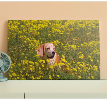 Canvas schilderij hond blije hond buiten - TenStickers