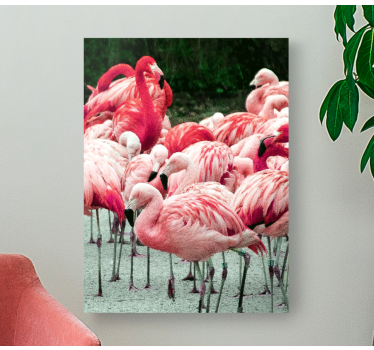 Canvas schilderij vogels flamingo's in een groep - TenStickers