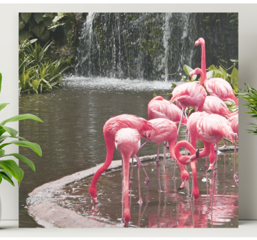 Canvas schilderij vogels flamingo's bij het zwembad - TenStickers