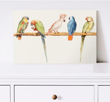 Canvas schilderij vogels kleurrijke papegaaien collectie - TenStickers