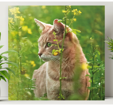 Canvas schilderij kat verkennende feline wandeling - TenStickers