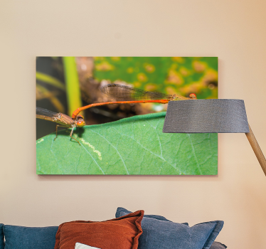 Canvas schilderij libellen paar libellen - TenStickers