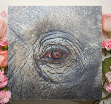 Canvas schilderij olifant oogdetail van de olifant - TenStickers