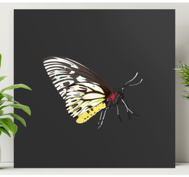 Canvas schilderij vlinder elegant vlinderprofiel - TenStickers