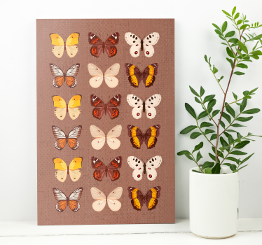 Canvas schilderij vlinder kleurrijke vlinderdisplay - TenStickers