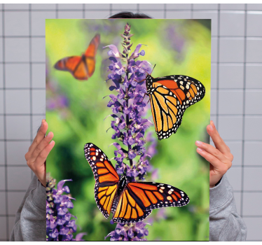Canvas schilderij vlinder monarchvlinders bijeenkomsten - TenStickers