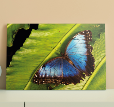 Canvas schilderij vlinder op blad - TenStickers