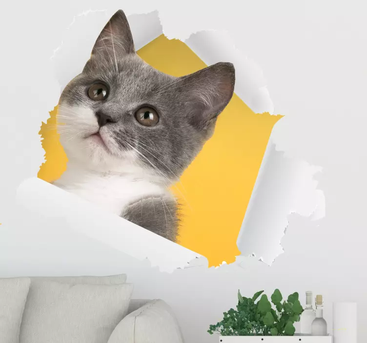 3D muursticker woonkamer met kat - TenStickers