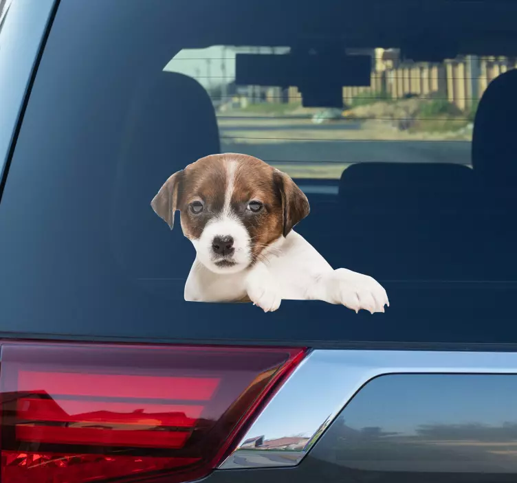 Glurende hond autosticker - TenStickers