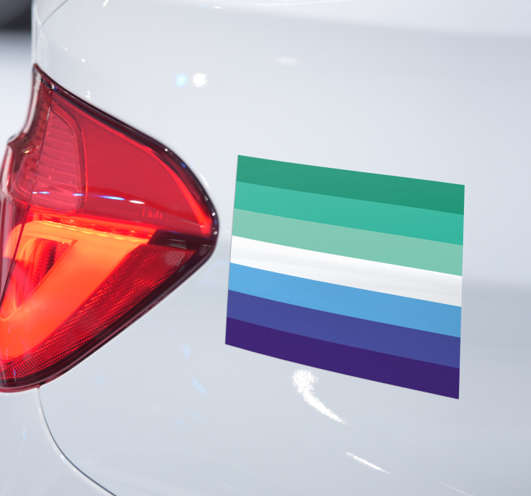 Homo vlag autosticker - TenStickers
