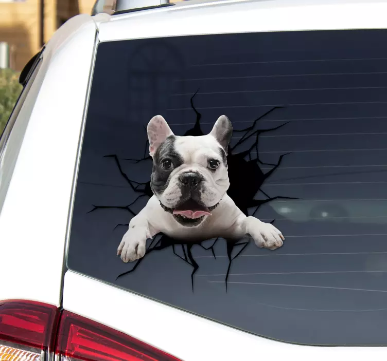 Gepersonaliseerde auto sticker hond door glas - TenStickers