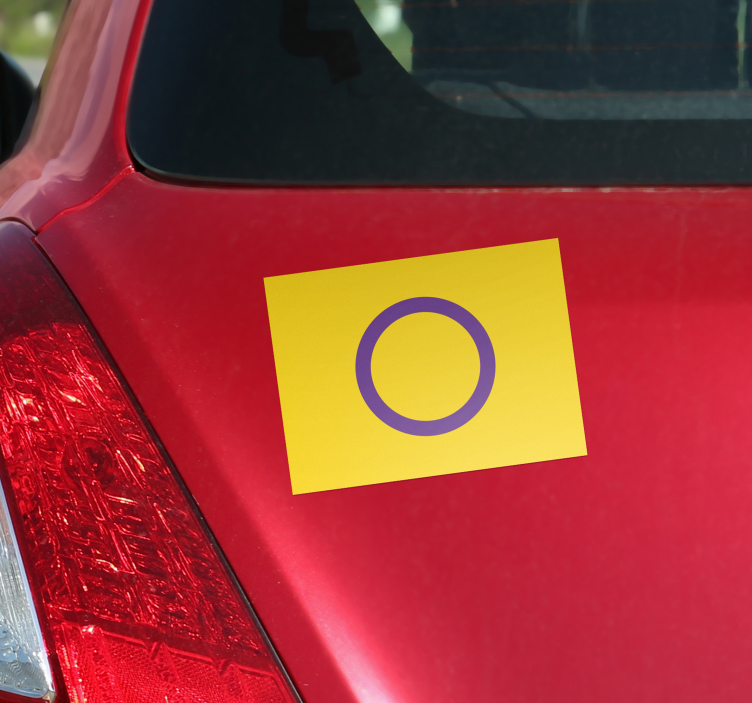 Intersekse vlag autosticker - TenStickers