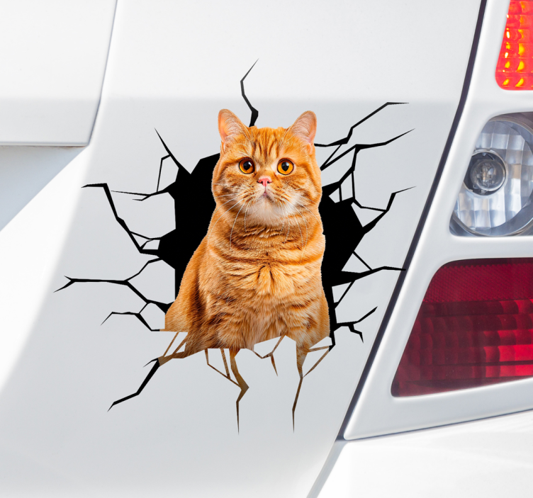 Kat in gat autosticker - TenStickers