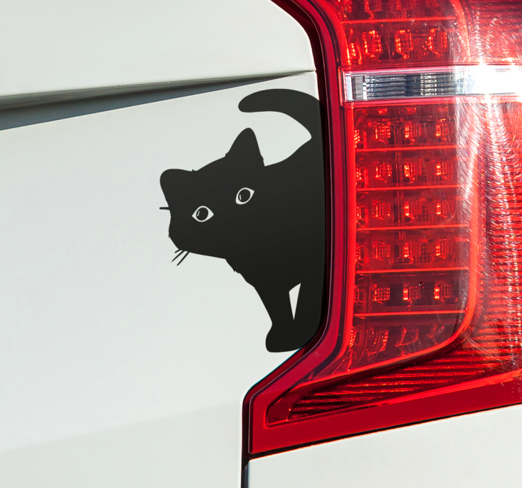 Nieuwsgierige kat autosticker - TenStickers