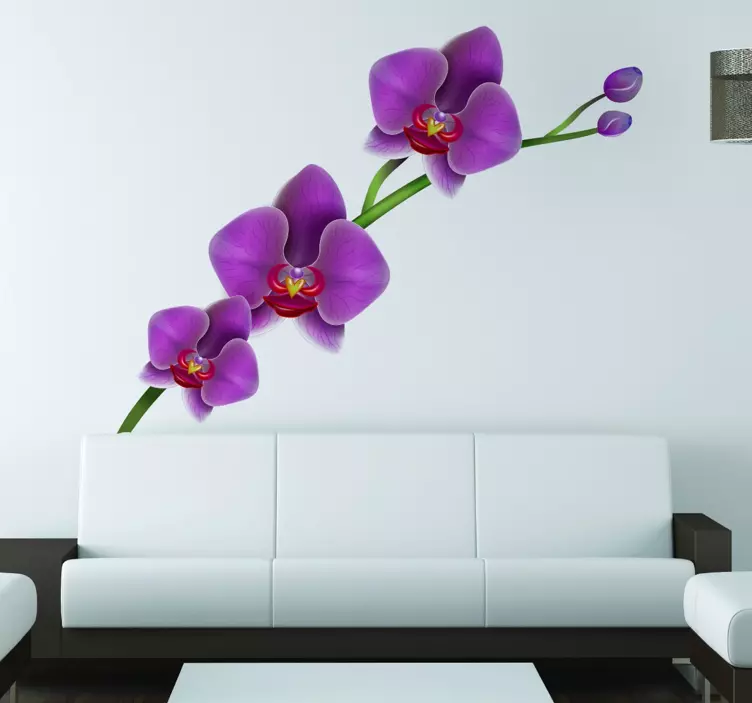 Orchidee Muursticker - TenStickers