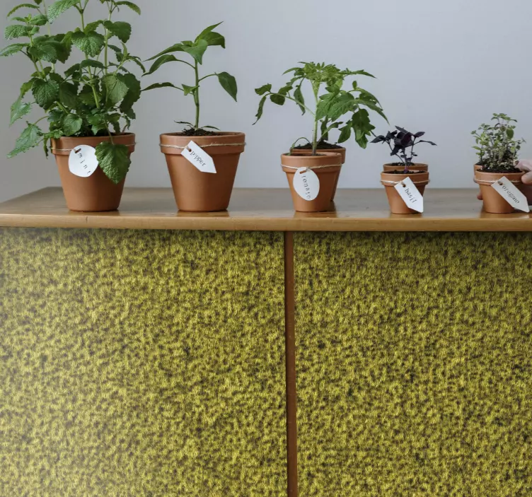 Potkruidencollectie muursticker planten - TenStickers