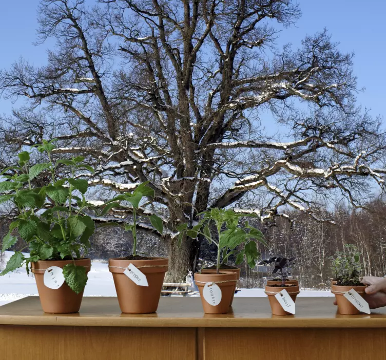 Sticker boom winter kaal lucht - TenStickers