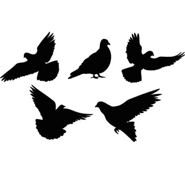 Vogels anti-botsing raamsticker - TenStickers