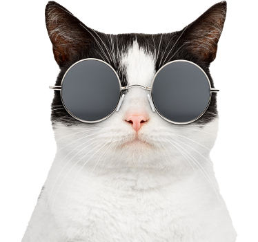 Kat met zonnebril autosticker - TenStickers