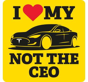 tesla elon musk autosticker - TenStickers