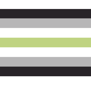 Agender vlag autosticker - TenStickers