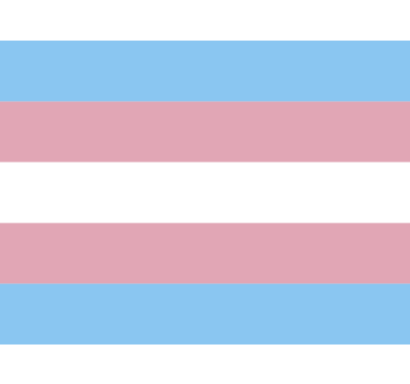 Trans vlag autosticker - TenStickers