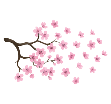 Autosticker roze kersenbloesem decal - TenStickers