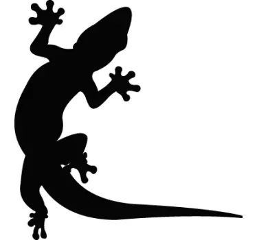 Autosticker salamander - TenStickers