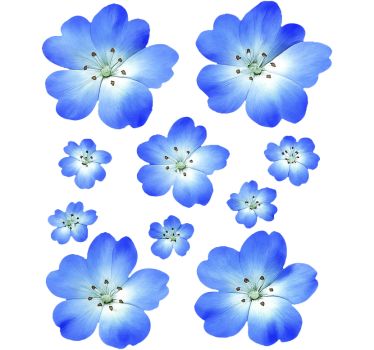 Fiets sticker blauwe bloemen - TenStickers