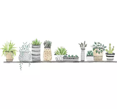 Muursticker planten plankplanten - TenStickers