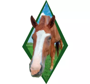 Muursticker nieuwsgierig paard - TenStickers
