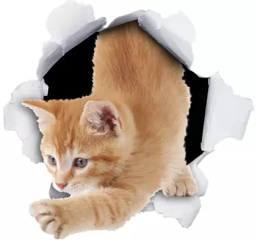 Container sticker kat - TenStickers