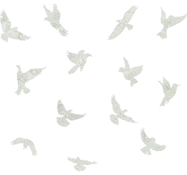Raamsticker romantische vogels - TenStickers