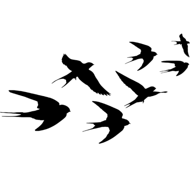 Vogel muursticker vliegende zwaluwen - TenStickers