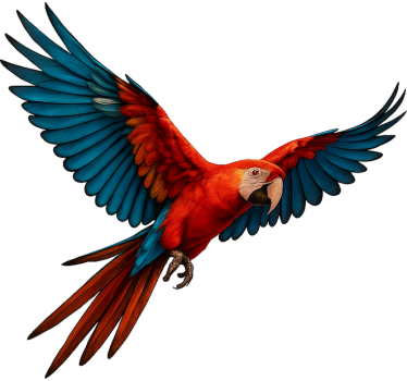 Raamsticker tropische vogel - TenStickers