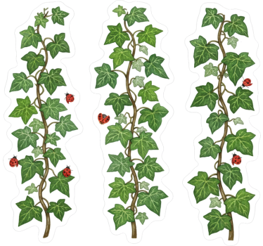 Raamsticker tuinrankensamenstelling - TenStickers