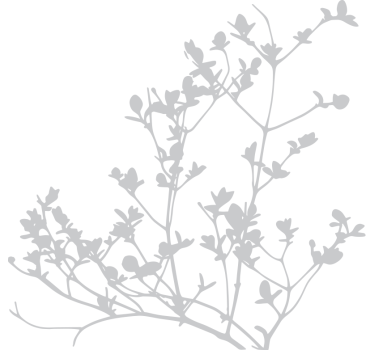 Raamsticker elegante bladsilhouet - TenStickers