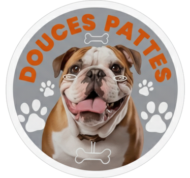 Autosticker douces pattes engelse bulldog - TenStickers