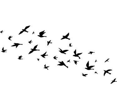 Camper sticker vliegende vogels in een zwerm - TenStickers