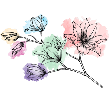 Bloemen muursticker magnolia - TenStickers
