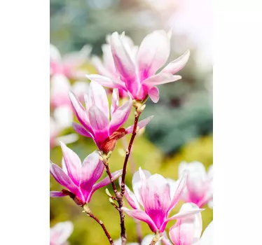 Magnolia bloemen decoratie zelfklevende raamsticker - TenStickers