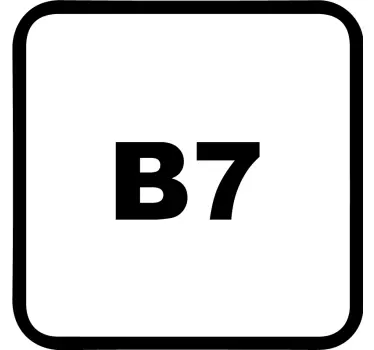 Autostickers Diesel b7 - TenStickers