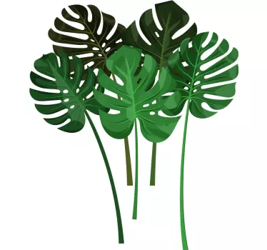 Muurstickers planten Alternatieve monsterbladeren - TenStickers