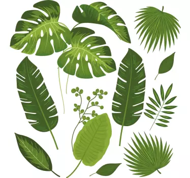 Muurstickers planten Verscheidenheid aan bladeren - TenStickers