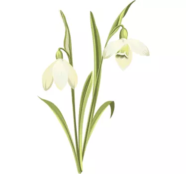 Bloemen stickers Sneeuwklokje plant - TenStickers
