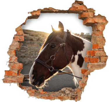 Paard door muur sticker met visuele effecten - TenStickers