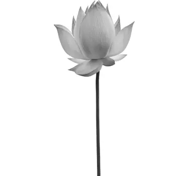 Bloemen stickers Grijswaarden lotus - TenStickers